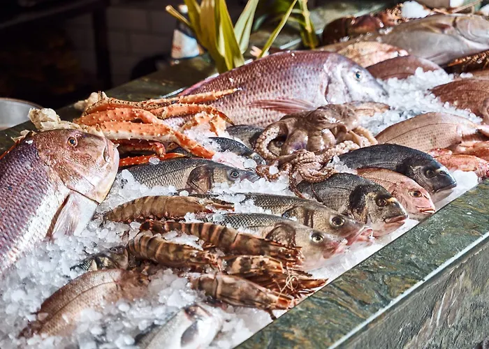 Szálloda Hippie Chic