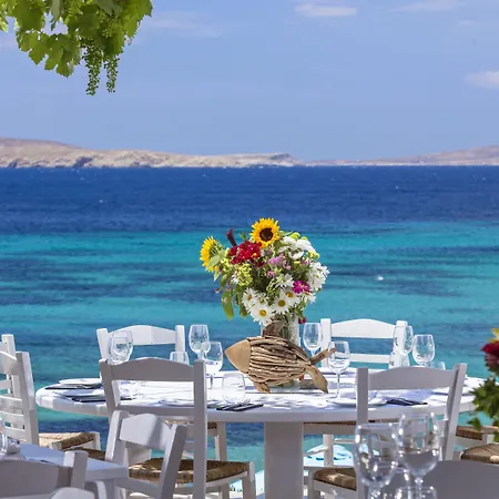 Ξενοδοχείο Hippie Chic 3*