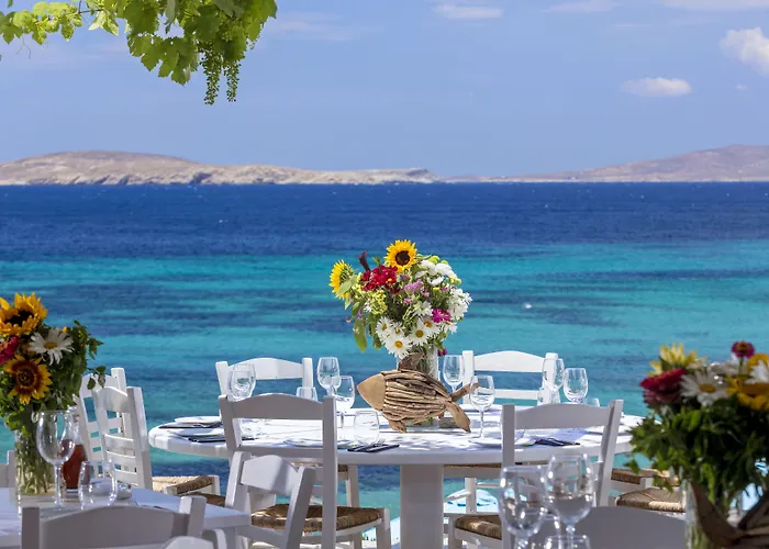 Ξενοδοχείο Hippie Chic 3*